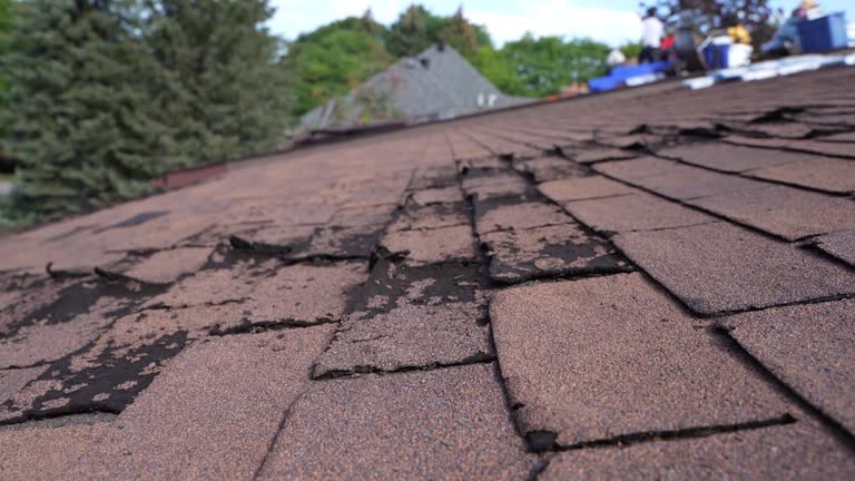 Fast & Reliable Emergency Roof Repairs in Ball Ground, GA